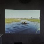 Aurzen ZIP Tri-Fold DLP Truly Mini Projector. Pocket Size. Zero-Lag Focus. One-Click Screen Mirroring. Full-Screen Mode. Type-C Fast Charging. 5.000mAh Battery. Indoor Outdoor Portable Projector.Gold photo review