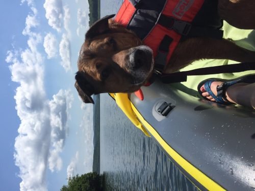 Intex 68307EP Explorer K2 Inflatable Kayak Set: Includes Deluxe 86in Aluminum Oars and High-Output Pump – SuperStrong PVC – Adjustable Seats with Backrest – 2-Person – 400lb Weight Capacity photo review