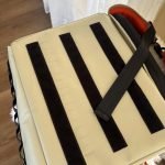 LiTHELi Frozen Pack 12V Car Refrigerator & Portable Electric Cooler. 20L/21QT with 2 U20 Batteries. -4~68℉ Travel Fridge Freezer for Camping. photo review