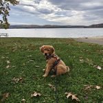 OnePlus 13. 16GB RAM + 512GB Storage. Dual-SIM. Unlocked Android Smartphone. Snapdragon 8 Elite. 80W SUPERVOOC Fast Charging and 50W AIRVOOC Charging. Advanced Hasselblad Camera. 2025. Black Eclipse photo review