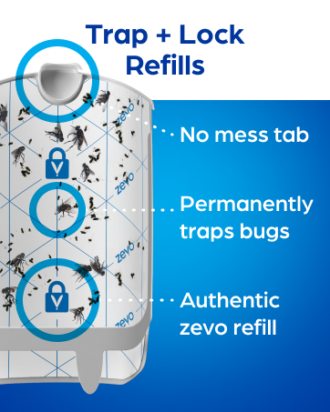 Zevo 2 Flying Insect Traps & 2 Refill Cartridges - Plug in Fly Trap & Indoor Bug Catcher for Gnats. House & Fruit Flies - Blue & UV Light Technology. Mess-Free Alternative to Bug Zapper