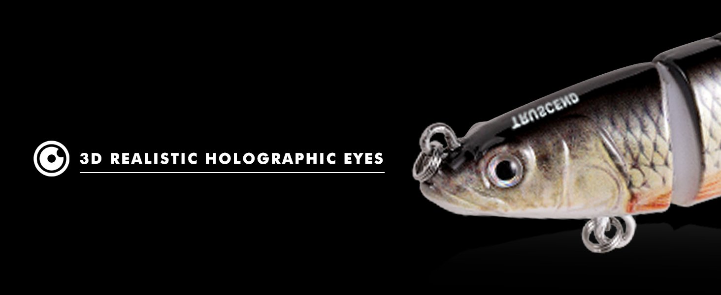 TRUSCEND Fishing Lures for Freshwater and Saltwater. Lifelike Swimbait for Bass Trout Crappie. Slow Sinking Bass Fishing Lure. Amazing Fishing Gifts for men. Must-have for Family Fishing Gear