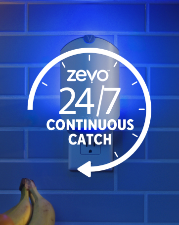 Zevo 2 Flying Insect Traps & 2 Refill Cartridges - Plug in Fly Trap & Indoor Bug Catcher for Gnats. House & Fruit Flies - Blue & UV Light Technology. Mess-Free Alternative to Bug Zapper