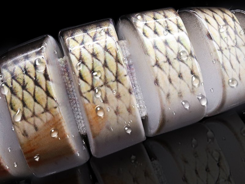 TRUSCEND Fishing Lures for Freshwater and Saltwater. Lifelike Swimbait for Bass Trout Crappie. Slow Sinking Bass Fishing Lure. Amazing Fishing Gifts for men. Must-have for Family Fishing Gear