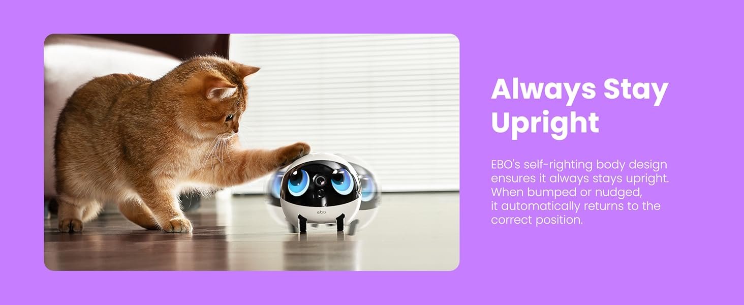 Indoor Security Camera Robot EBO Air 2 PLUS: 2K Pet Camera. Movable Home Robot. Custom Facial Expression. Auto-Recharge. Battery-Operated. 2-Way Talk. Night Vision. 32GB Memory Card
