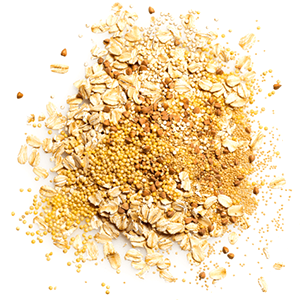 KIND Bars. Dark Chocolate Almond & Coconut. Healthy Snacks. Gluten Free. 24 Count