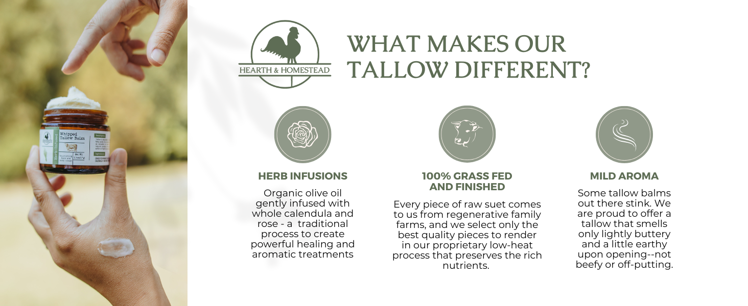 Hearth and Homestead: Handmade Whipped Tallow Balm (Unscented/Herb-Infused) - Organic Body Butter with Infused Olive Oil. for Eczema. Rosacea. Baby - 1.3 oz