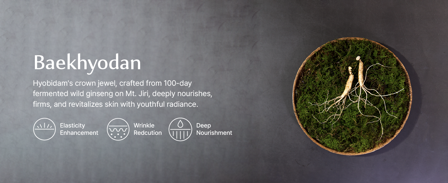 Sooryehan Ginseng Skincare gift Set - Hyobidam Korean Skin Care Set. Premium Gift Set for Intense Hydration. Firm Skin. Wild Ginseng. 13.53 fl oz